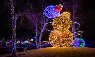 Lansing NY Taxi and car Service holiday lights tour transportation for families and visitors
