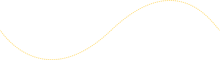 Decorative line connecting Lansing NY Taxi Service booking steps